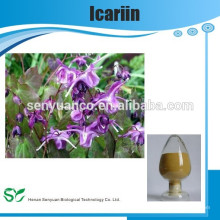 Natürliche Kräutermedizin Epimedium Extrakt Icariin 10% -98%